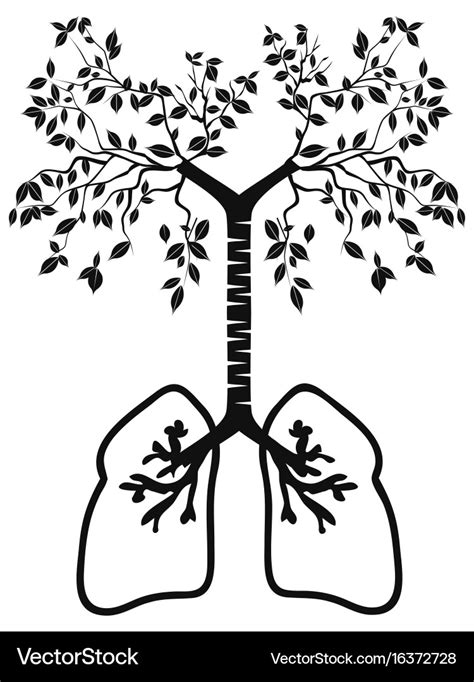 Lung Tree Lizenzfreies Vektorbild VectorStock