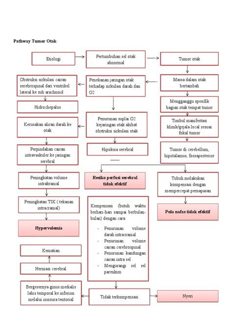 Pathway Tumor Otak Siki Sdki Pdf