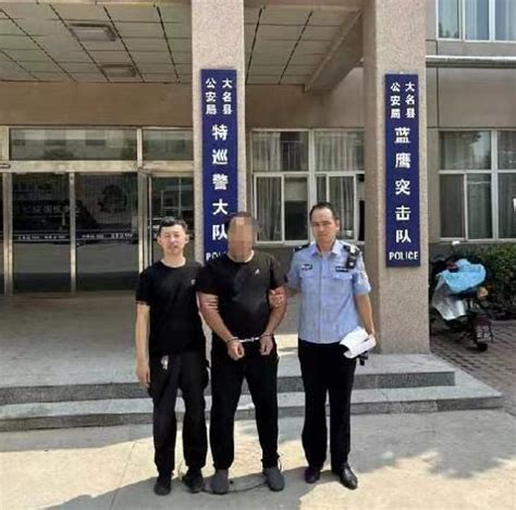 【奋进新征程】追逃不止！大名公安抓获一名外省网上逃犯 澎湃号·政务 澎湃新闻 The Paper