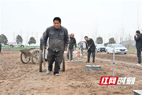 春潮正澎湃 春耕备耕忙 大通湖区河坝镇春耕备耕工作走笔 益阳新闻 益阳站 红网