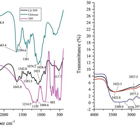 Ftir Spectrum Of A Chitosan Sodium Tripolyphosphate Tpp And