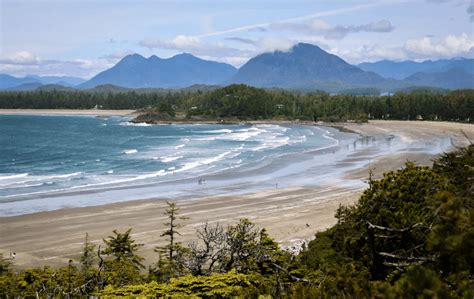 Discover The Most Romantic Things To Do In Tofino