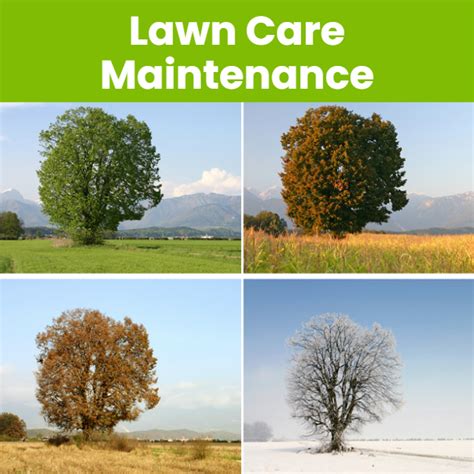 Lawn Care Schedule - Landzie