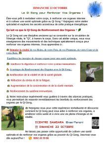 Octobre Qi Gong Pour Renforcer Vos Organes Bienvenue Samsara