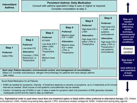 Asthma Guidelines Based Control And Management Ento Key