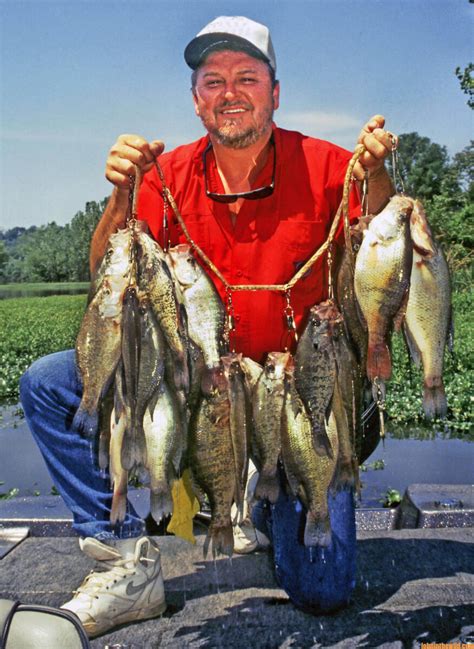 Fish Jigging Spoons To Catch More Crappie Day 2 Why Modify A Jigging