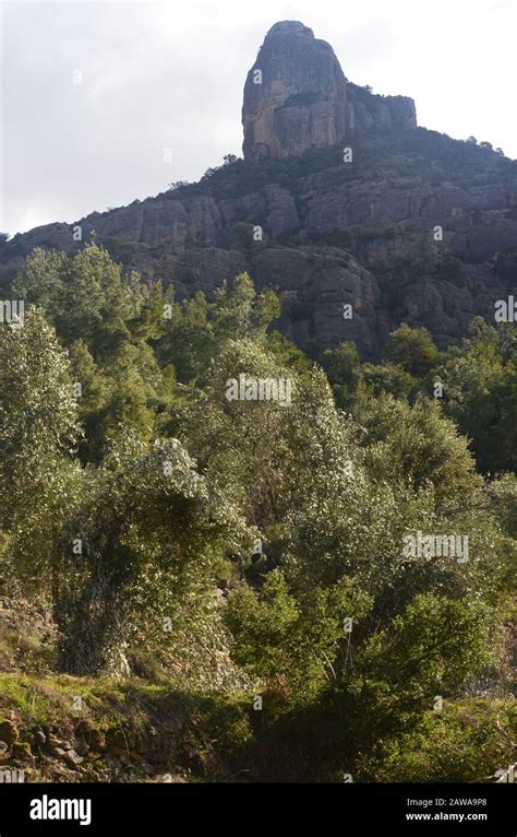 Els Ports Natural Park A Limestone Mountain Massif At The Border