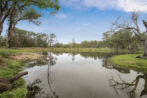 1692 New England Gully Road Moonbi NSW 2353 Specialist Farm For Sale