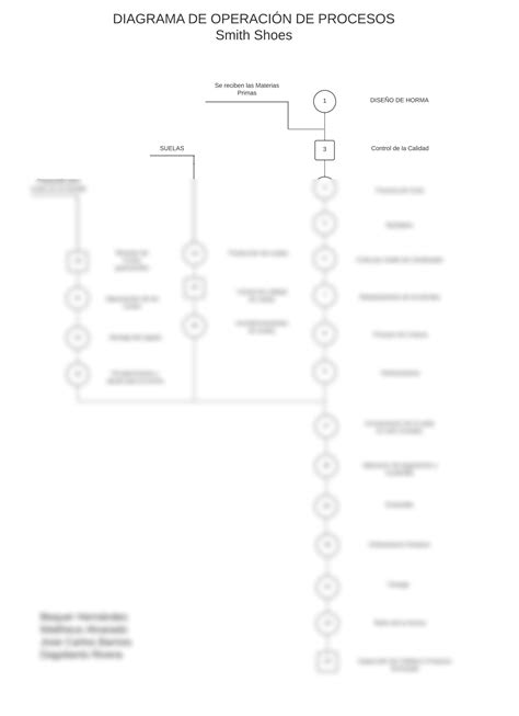 SOLUTION Diagrama De Operaci N De Procesos Smith Shoes Studypool