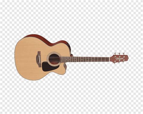 Cutaway Takamine Pro Series P Dc Guitarras Ac Sticas El Ctricas