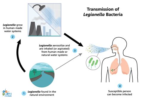 The Hidden Threat Legionella And Legionnaires Disease