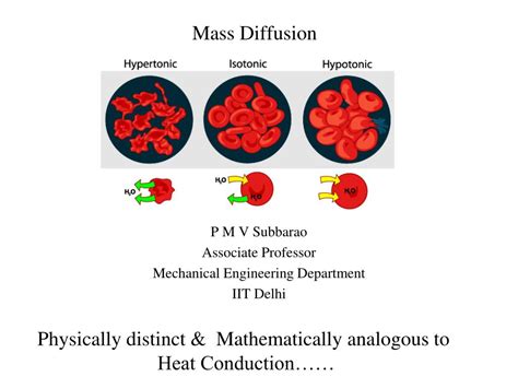 Ppt Mass Diffusion Powerpoint Presentation Free Download Id588069