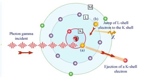 Interaction Of Gamma Radiation With Matter Mechanisms Nuclear