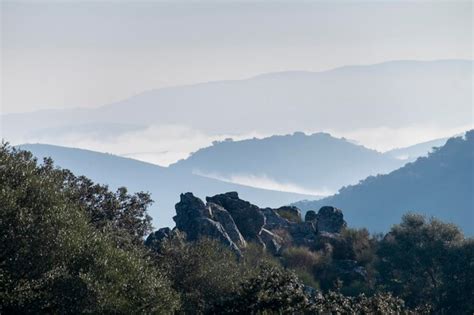 Paisaje Extreme O Desde Lo Alto Del Castillo De Monfrag E En El Parque