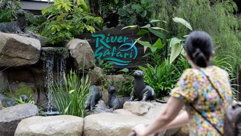 River Safari renamed, new bird park named Bird Paradise in Mandai Wildlife Group rebranding - TODAY