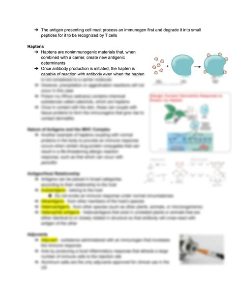 SOLUTION Antigens Mhc Molecules Chapter 2 Studypool