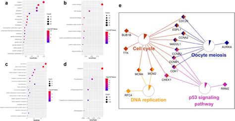 A B C Gene Ontology Enrichment Cc Mf And Bp Of The Top Module