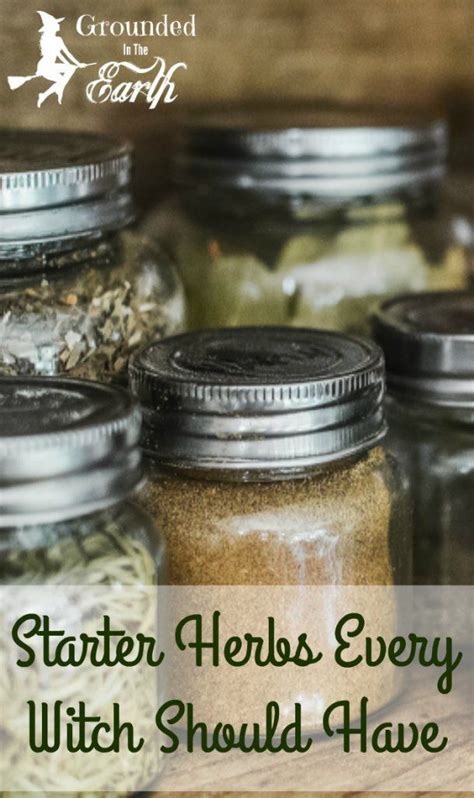 5 Starter Herbs Every Witch Should Have Artofit