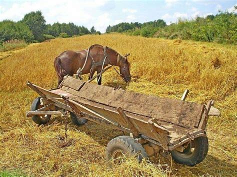 Pin By Urszula Abramowicz On DAWNE POLSKIE CZASY Farm Art Autumn