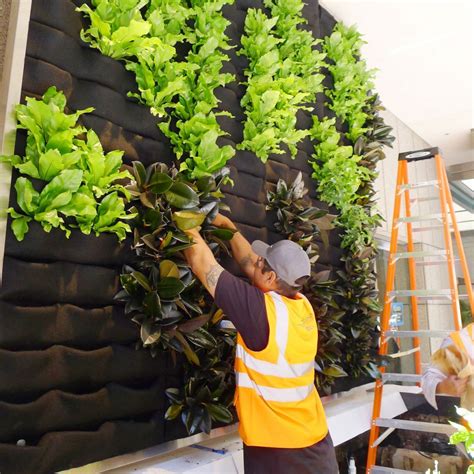 Florafelt Living Wall Guide Plants On Walls Large Vertical Garden