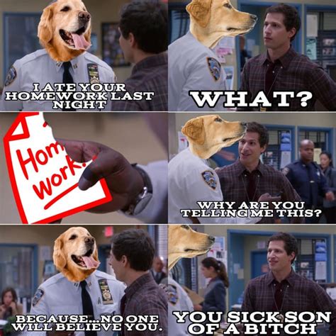 Tell me why, dog. : r/memes