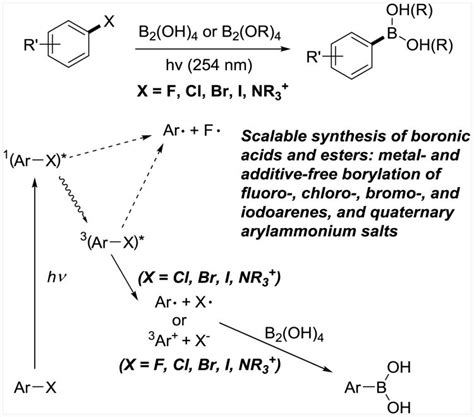 Scalable Metal And Additive Free Photoinduced Borylation Of