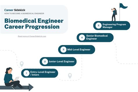 Steps to becoming a Biomedical Engineer - Future Skills