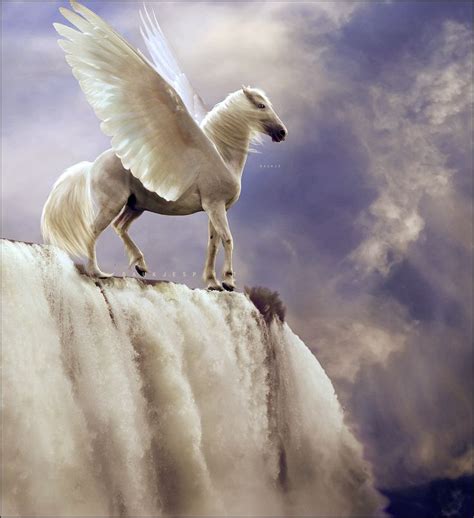 On Deviantart Pegasus Art