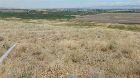 Williams Tower Site Project Plateau Archaeological Investigations