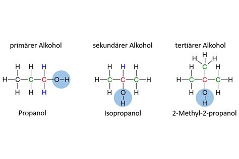 Was Sie Schon Immer Ber Alkohol Wissen Wollten Teil Whisky