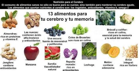 Alimentos Para Fortalecer El Cerebro Y La Memoria IVital