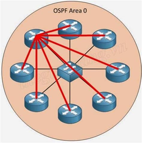 Tìm Hiểu Các Loại Area Lsa Type Network Type Trong Giao Thức định