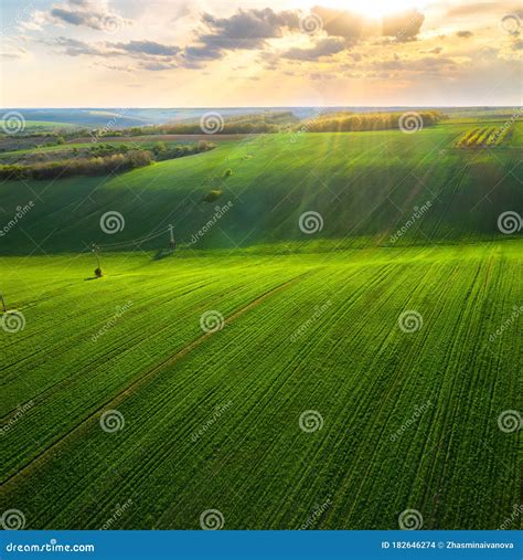 Green Rolling Field In Golden Hour Before Sunset Stock Photo Image Of