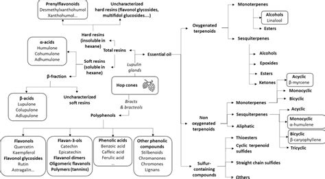 Major terpenoids in hops essential oils | Download Scientific Diagram