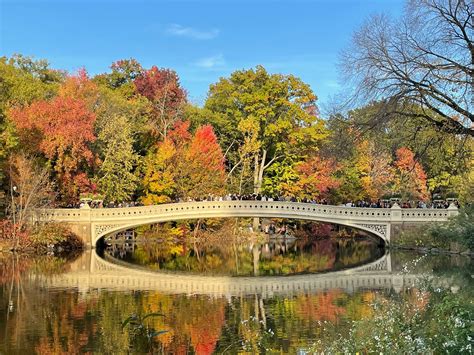 Central Park Fall