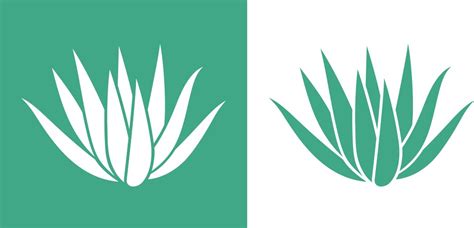 Blue Agave Set Isolated On White Background Side Vector Image
