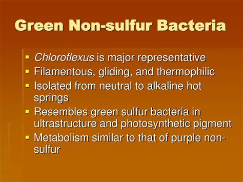 Ppt Anoxygenic Phototrophs Powerpoint Presentation Free Download