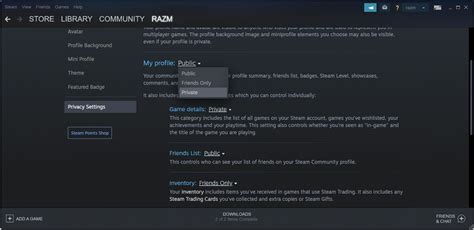 How to Hide Your Steam Activity