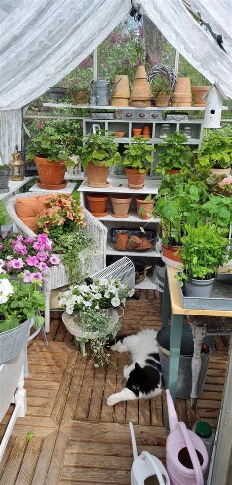 Greenhouse Ideas And Inspiration For You Forbes Home