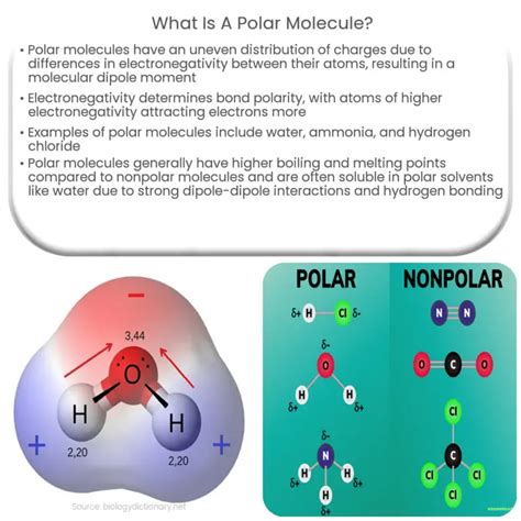 Qué es un momento dipolar eléctrico