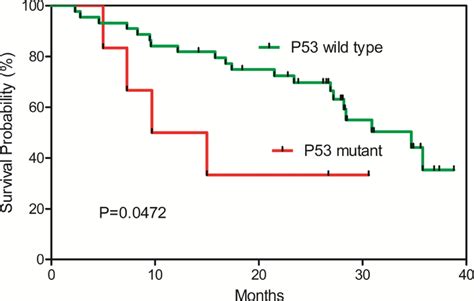 Kaplan Meier Survival Plot For Tp53 R249s Wild Type And Mutant Hcc