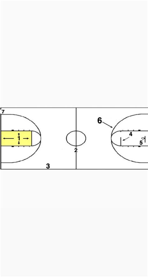 Basketball Gym Exam Diagram Quizlet