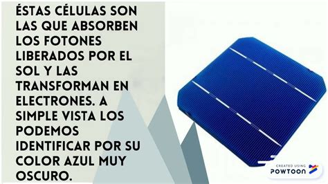 C Lulas Solares De Silicio Paneles Solares Youtube