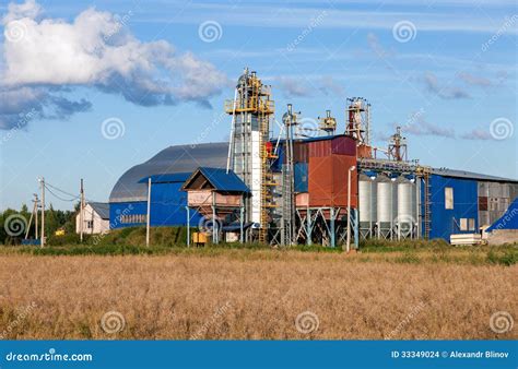 Factory Processing of Grains and Cereals Stock Photo - Image of green ...