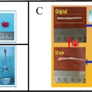 D Printing Thermo Responsive Actuators A Smart Hydrogel Actuator