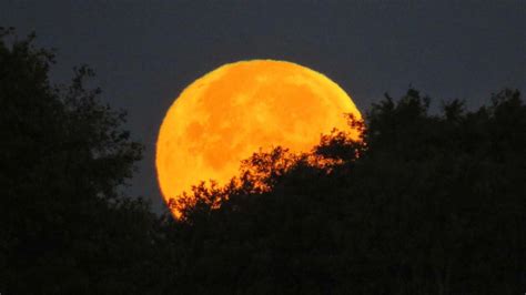 Hunters Supermoon When To See The Brightest Full Moon Of 2024 Bbc Weather