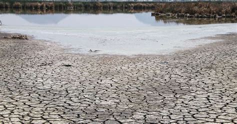 “las Sequías Serán Más Frecuentes E Intensas En El Futuro”