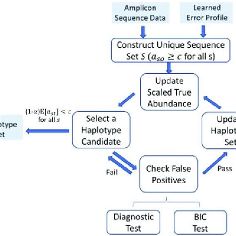 Principle Of Illumina Sequencing Sequencing By Synthesis A Flow