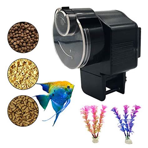 Best Auto Fish Feeders Review And Recommendation Everything Pantry