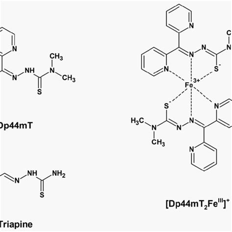 Chemical Structures Of 3 Aminopyridine 2 Carboxaldehyde Download